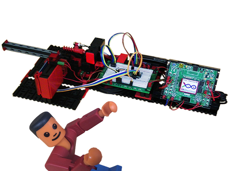 こちらを見上げているフィッシャー君