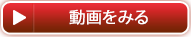 動画を見る